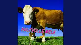 Halfvolle Melk (premium)