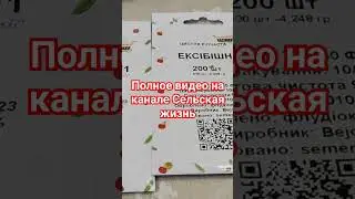 лук из семян #лук #сельскаяжизнь