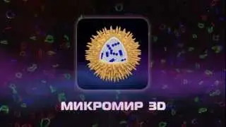 Микромир 3D