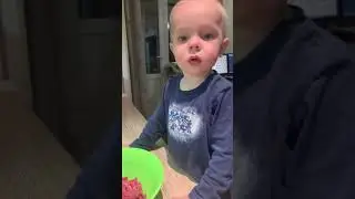 Будущий веган