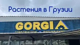 Обзор грузинского магазина с отделом сад!