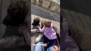 Sweetest connection between baby and puppy
