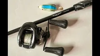 Daiwa Steez C74MH+ [TOPGUN] + Shimano 23 Antares DC MD (5.6:1)| Best for FROG fishing???