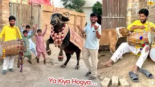Finally Pet House Mian Qurbani Ka Janwar Ly Aye Lykin Masla Hogya 💔