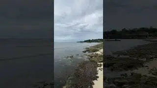 So Relaxing View
