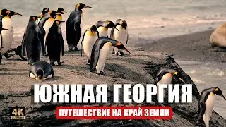 Ворота в Антарктиду и одно из самых отдаленных и диких мест на планете - Южная Георгия  ❄️🐧🧊