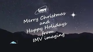 IMVi Christmas 2022