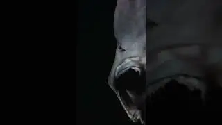 The Goblin of the Deep Sea 