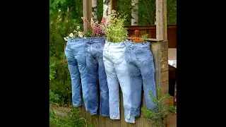 👀 Coffee for plants?  Surprising backyard craft #shorts   #gardening   #plant