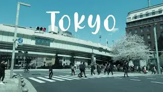 Cherry blossom spots in Tokyo - Japan | Nihombashi - Sakura + City View Cruise Tour 日本橋クルーズ