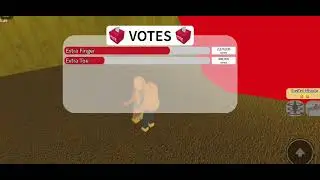 Pick a slide (roblox) with my siblings
