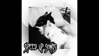 плейлист рандомных песен|speed up playlist|8