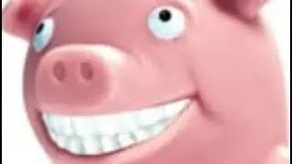 Stinky pig (kindly put on full volume)