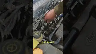 Антифриз в масле у Ford Focus  
