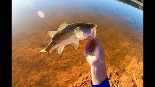 Bayou Bass! Fishing Southern Louisiana // New Drone Footage!