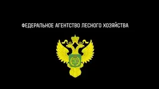 Документальный фильм 