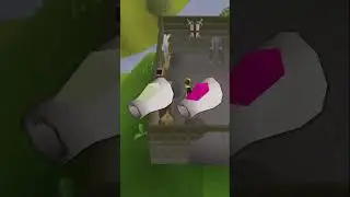 99 Crafting + 102M Profit