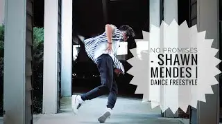 Shawn Mendes - No Promises | Freestyle