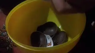 9 Mayıs 2018