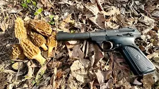 Things got CRAZY while out FORAGING for Mushrooms!