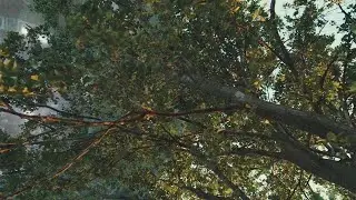 Спецэффекты для короткометражного фильма Special effects for a short film