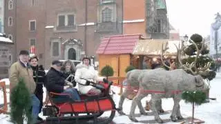 Краса зимового Вроцлава