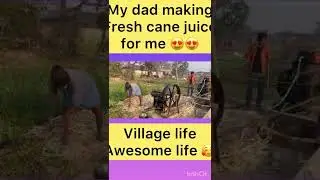 Indian Village life | Sugarcane juice | #shorts #trending #thanksgiving #tiktok #viral #fifaworldcup