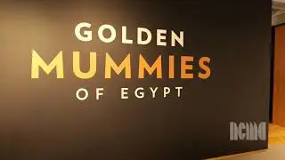 In the Galleries: Golden Mummies of Egypt