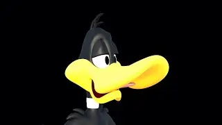 Why is a duck?