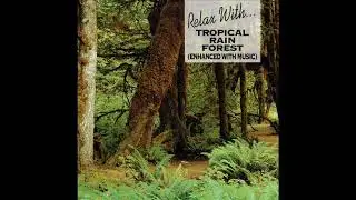 Relax With - Tropical Rain Forest