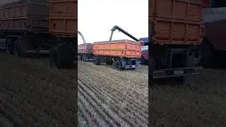Заинский район уборка