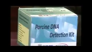 Pengesanan DNA babi