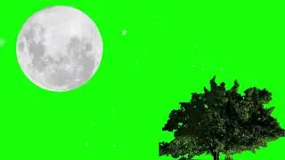 Night Sky Green Screen//Night Sky Animation Video Green Screen