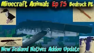 New Zealand Natives Addon Update Minecraft Bedrock Addon PE Addon 60FPS 4K Animals EP75