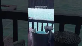 Our Overwater Bungalow 🏝️  #Honeymoon #OverwaterBungalow #RoomTour #Moorea #FrenchPolynesia