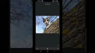Как сделать фотографию резкой?