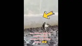 😮😮😮😮😮😮 