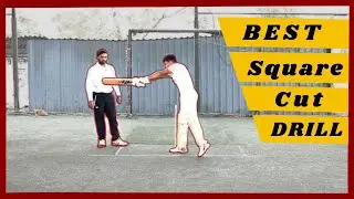Best Square Cut Drill | Square Cut Kaise Khele | Batting Drill