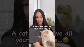 “A Cat Won’t Solve All of Your Problems…”🥺The OMG Fam #shorts #catlover #youtubeshorts