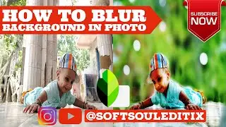 How to blur background using Snapseed | Blur background tutorial