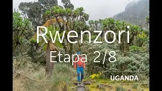 Ruta en Rwenzori (Montañas de la luna) - Etapa 2/8 + Subida al Marguerita