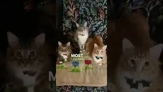 #bestlovestory