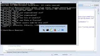 Spring Security 49   HTTPS Channel Security