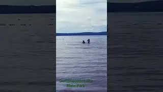 Damariscotta Lake State Park