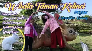 Wisata Taman Kelinci, Pujon, Kabupaten Malang ( Explore Juli 2023 )
