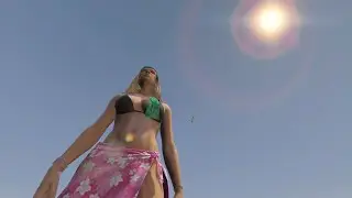 Grand Theft Auto V : Graphic Details