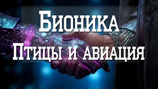 Бионика. Птицы и авиация.