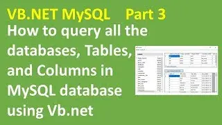 VB.NET MySQL Query all databases, Tables, and columns Part 3