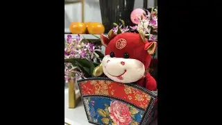 板橋光星兒稚園 春節祝賀