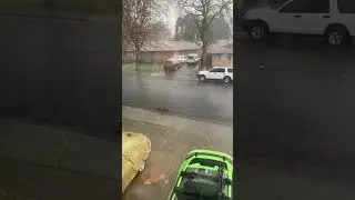 #dailyshorts #rain #pours #street #puddle #water #50cent
